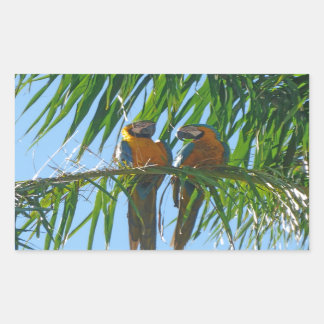 Pegatina Rectangular Parrots- Macaws azules y dorados