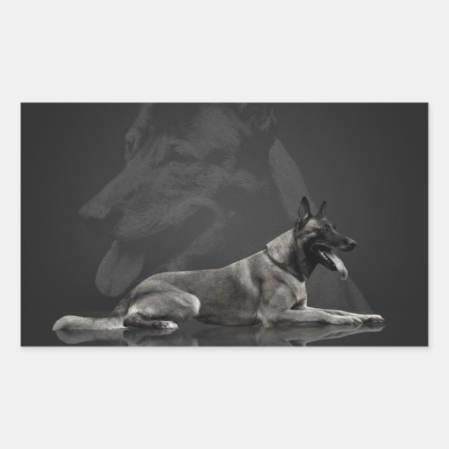 Pegatina Rectangular Pastor belga - Malinois (Anverso)