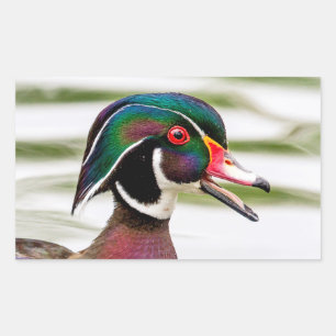 Pegatina Rectangular Pato de madera