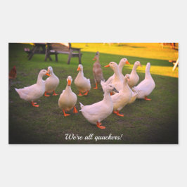 Pegatina Rectangular Patos en el parque Gracioso Todos somos Quackers