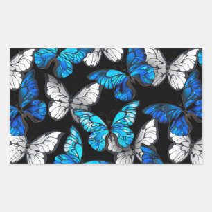 Pegatina Rectangular Patrón oscuro sin foco con mariposas azules morfo