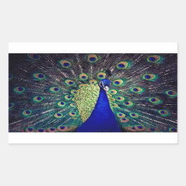 Pegatina Rectangular Peacock azul cobalto