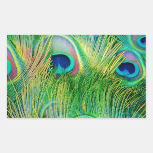 Pegatina Rectangular Peacock Feathers