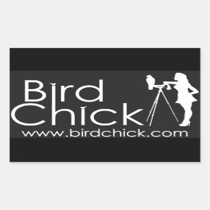 Pegatina Rectangular Pegatinas Birdchick