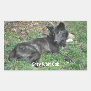 Pegatina Rectangular PEGATINAS de apoyo a la vida silvestre GRAY WOLF C