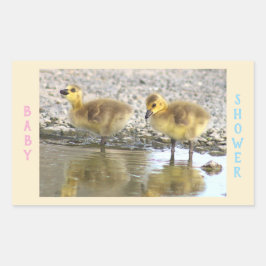 Pegatina Rectangular Pegatinas de Baby Shower Goslings