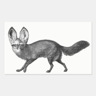 Pegatina Rectangular Pegatinas de Bat Eared Fox