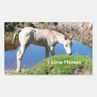 Pegatinas de caballos de Dun foal