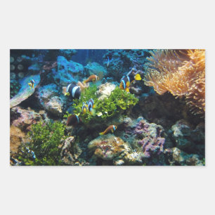Pegatina Rectangular Pegatinas de Coral Reef