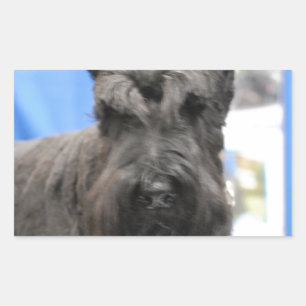 Pegatina Rectangular Pegatinas de Cute Schnauzer
