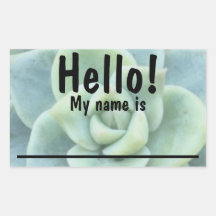 Pegatinas de etiquetas Green Succulation Name