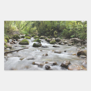 Pegatina Rectangular Pegatinas de Forest Stream