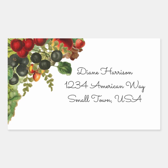 Pegatina Rectangular Pegatinas de frutas de otoño (Anverso)