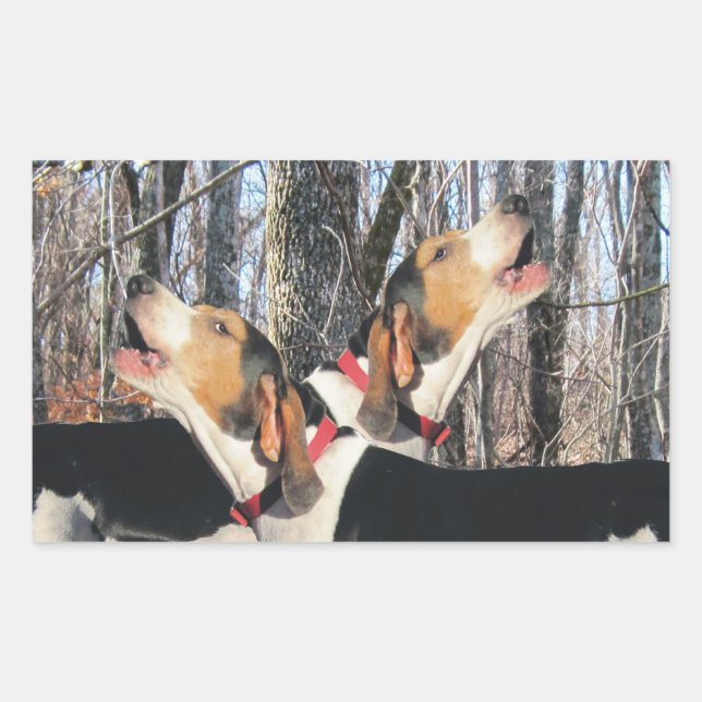 Pegatina Rectangular Pegatinas de Howling Treeing Walker Coonhound (Anverso)