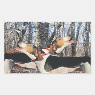 Pegatina Rectangular Pegatinas de Howling Treeing Walker Coonhound