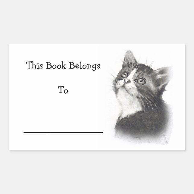 Pegatina Rectangular Pegatinas de libros: Dibujo a lápiz de gatitos (Anverso)
