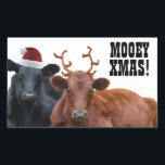 Pegatina Rectangular Pegatinas de Mooey Merry Christmas Cows<br><div class="desc">¡Dale una bofetada a este lindo pegatina de vacaciones en cualquier parte que añades un poco de humor! ¡Un par de animales de guerra están vestidos con disfraces de Navidad para llevar a tus amigos y familia al Navidad Moooood! El ángel negro lleva puesto un sombrero de santa roja, y...</div>