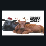 Pegatina Rectangular Pegatinas de Mooey Merry Christmas Cows<br><div class="desc">¡Dale una bofetada a este lindo pegatina de vacaciones en cualquier parte que añades un poco de humor! ¡Un par de animales de guerra están vestidos con disfraces de Navidad para llevar a tus amigos y familia al Navidad Moooood! El ángel negro lleva puesto un sombrero de santa roja, y...</div>