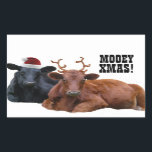 Pegatina Rectangular Pegatinas de Mooey Merry Christmas Cows<br><div class="desc">¡Dale una bofetada a este lindo pegatina de vacaciones en cualquier parte que añades un poco de humor! ¡Un par de animales de guerra están vestidos con disfraces de Navidad para llevar a tus amigos y familia al Navidad Moooood! El ángel negro lleva puesto un sombrero de santa roja, y...</div>