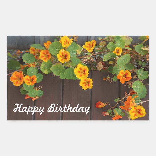Pegatina Rectangular Pegatinas de Nasturtium felices de cumpleaños (Anverso)