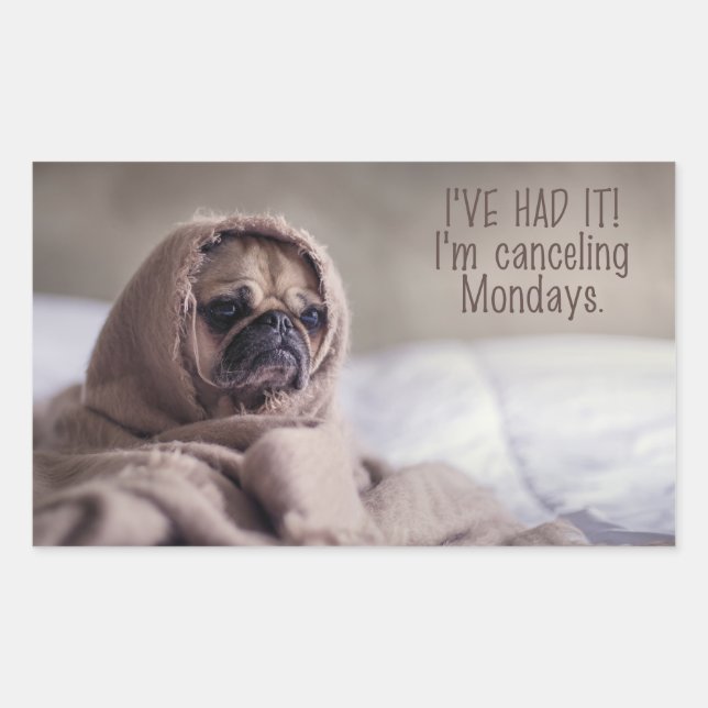 Pegatina Rectangular Pegatinas de perros divertidos (Anverso)