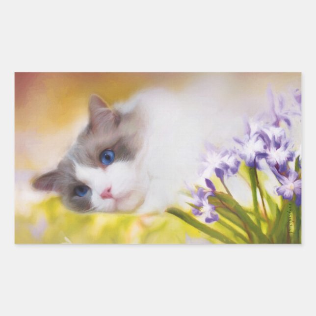 Pegatina Rectangular Pegatinas de Ragdoll Cat (Anverso)