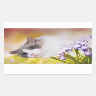 Pegatina Rectangular Pegatinas de Ragdoll Cat