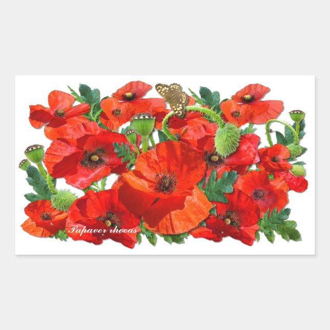 Pegatina Rectangular PEGATINAS de Rectángulo de ROJO POPPY ~ Rectangle (Anverso)