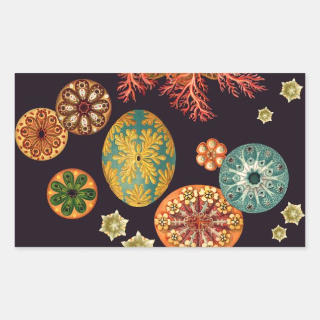 Pegatina Rectangular Pegatinas de Sea Squirt Remix (Anverso)