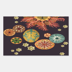 Pegatina Rectangular Pegatinas de Sea Squirt Remix