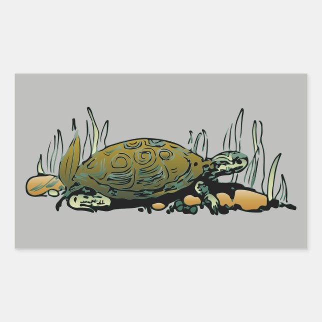 Pegatina Rectangular pegatinas de tortugas de pantano (Anverso)