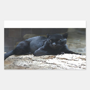 Pegatina Rectangular Pegatinas del Rectángulo del Jaguar Negro