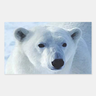 Pegatina Rectangular Pegatinas del Rectángulo del Oso Polar