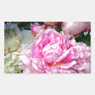 Pegatina Rectangular Peonias rosas y blancas