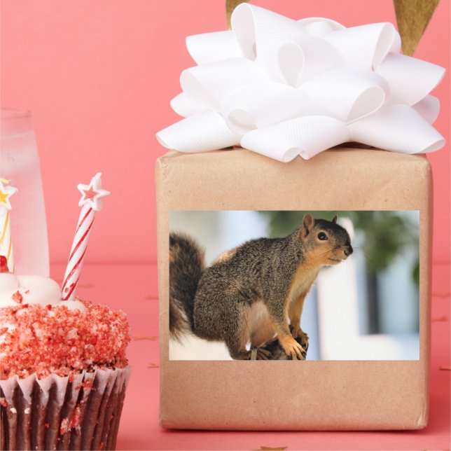 Pegatina Rectangular Perca (Fiesta)