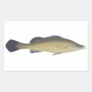 Pegatina Rectangular Perca dorada