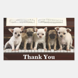 Pegatina Rectangular Perritos Chihuahua Gracias ( Chewawa Chiwawa )