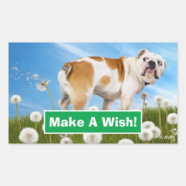 Pegatina Rectangular Perro con Dandelion (Anverso)