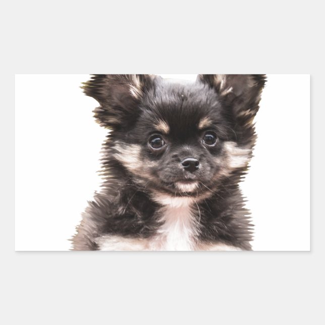 Pegatina Rectangular Perro de cachorro chihuahua (Anverso)