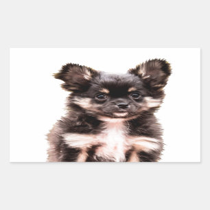 Pegatina Rectangular Perro de cachorro chihuahua