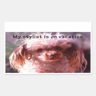 Pegatina Rectangular Perro de pelo agobiante