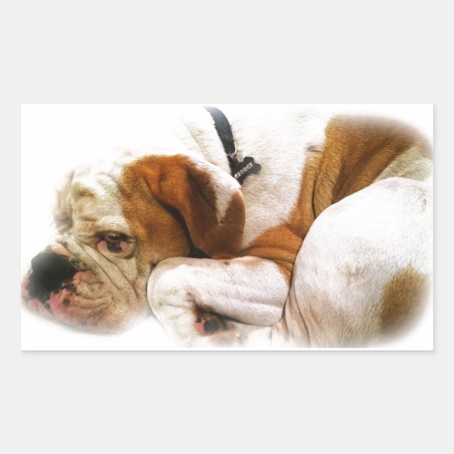 Pegatina Rectangular Perro descendente (Anverso)