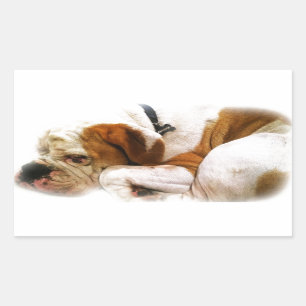 Pegatina Rectangular Perro descendente