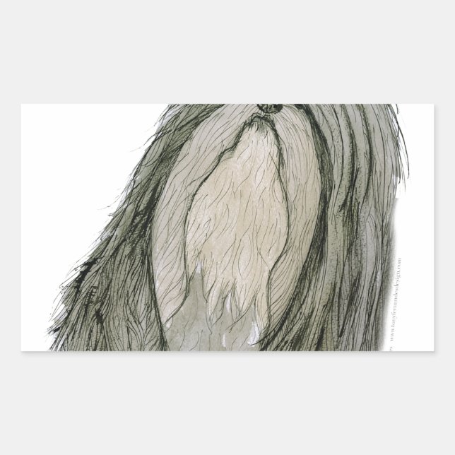 Pegatina Rectangular Perro Shih Tzu, tony fernandes (Anverso)