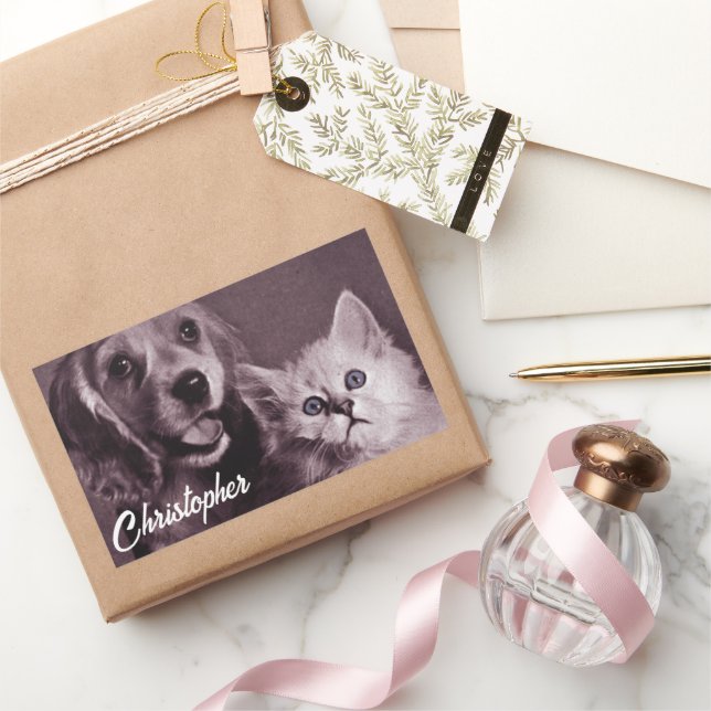 Pegatina Rectangular Perro y gato, buscando personalizado (Regalar)