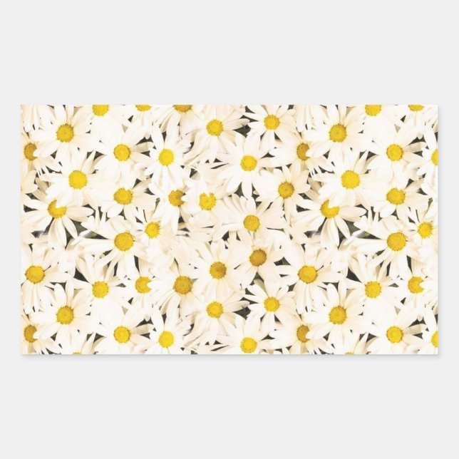 Pegatina Rectangular Personalizado White Daisies Blank Elegant Template (Anverso)