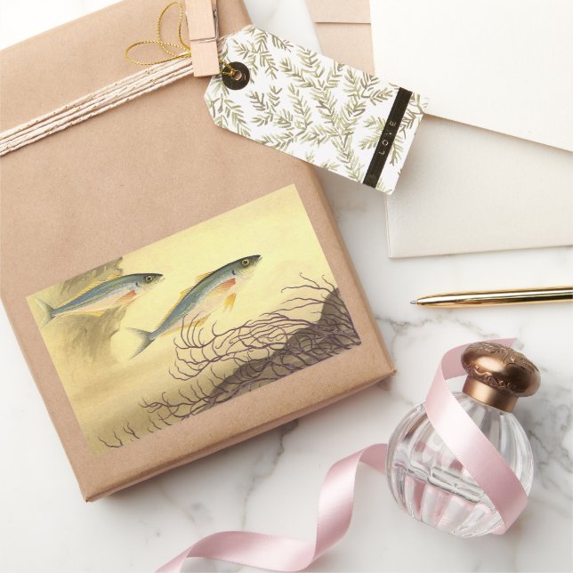 Pegatina Rectangular Pescado caballa nadando en el océano (Regalar)