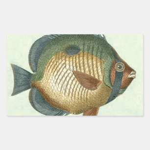 Pegatina Rectangular Pescado colorido grande