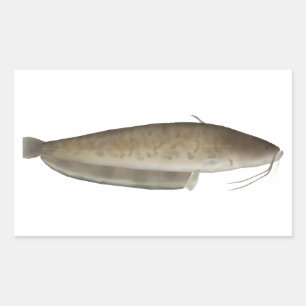 Pegatina Rectangular Pescado de Aristóteles