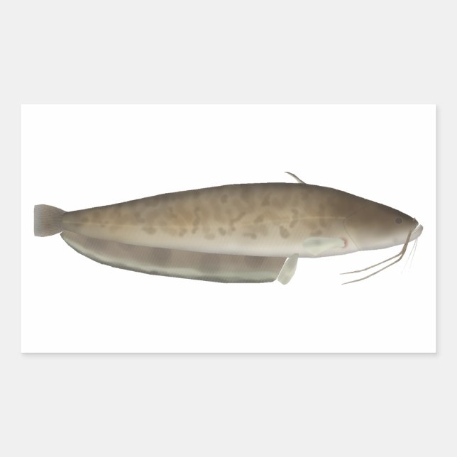 Pegatina Rectangular Pescado de Aristóteles (Anverso)